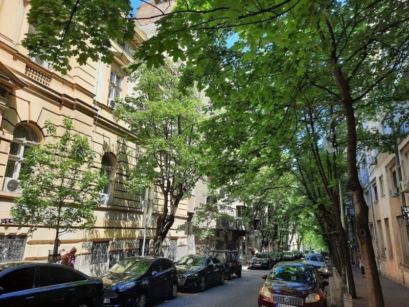 Apartment 51 - Bright, Spacious, Lux 1 Bedroom In The City Center - Stari Grad Belgrad Exterior foto