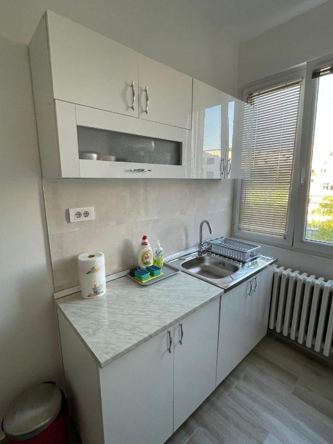 Apartment 51 - Bright, Spacious, Lux 1 Bedroom In The City Center - Stari Grad Belgrad Exterior foto